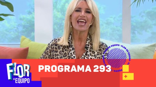 Programa 293