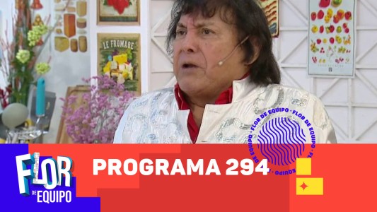 Programa 294