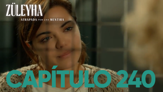 Capítulo 240