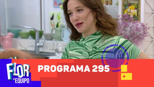 Programa 295