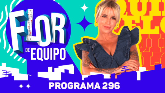 Programa 296
