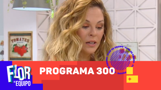 Programa 300