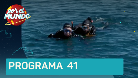 Programa 41