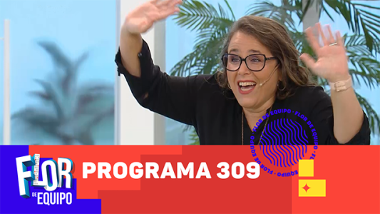 Programa 309