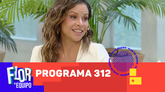 Programa 312