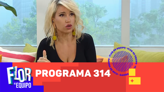 Programa 314