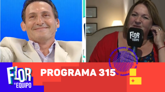Programa 315