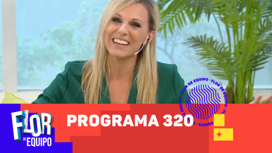 Programa 320