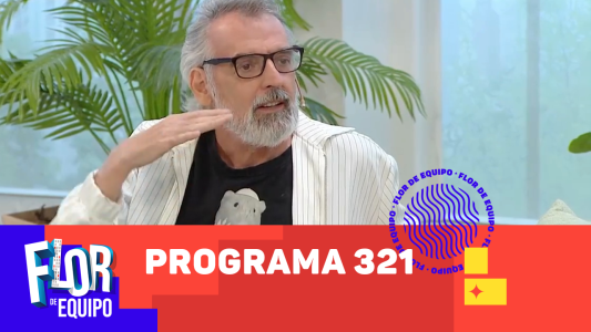 Programa 321