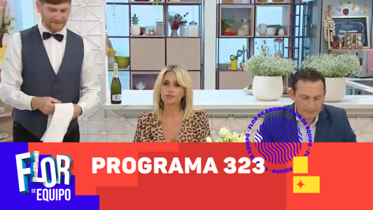 Programa 323