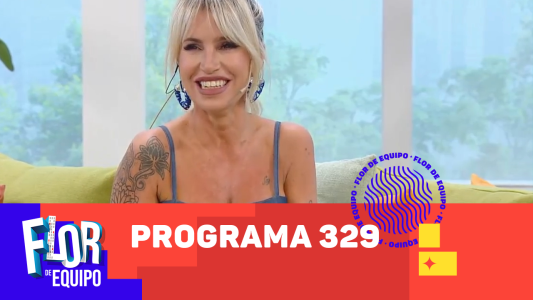 Programa 329