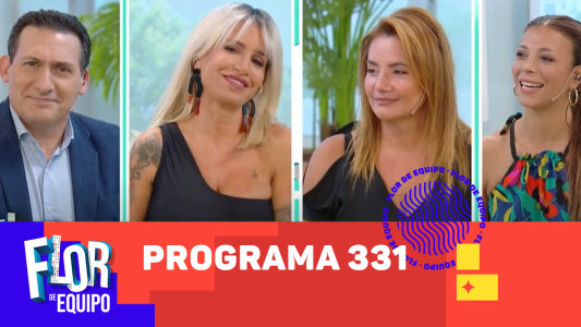 Programa 331