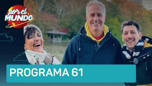 Programa 61