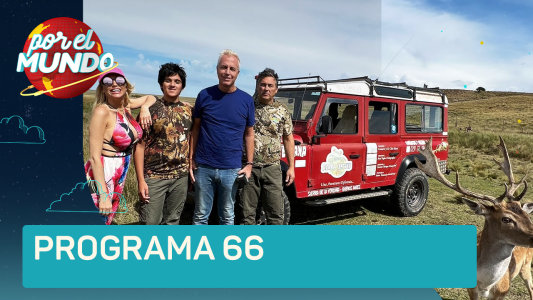 Programa 66