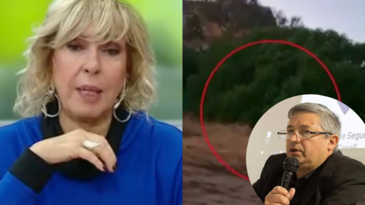 Pumas sueltos en Villa Gesell: la palabra del secretario de seguridad