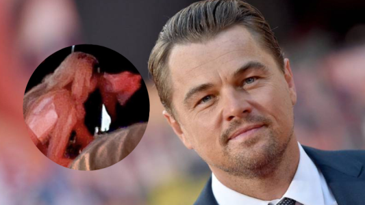 Gigi Hadid y Leonardo DiCaprio: las primeras imágenes del inesperado romance