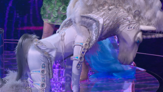 El recorrido de Brillo hasta la final