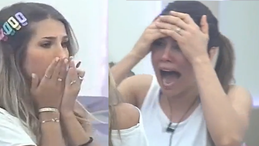 Julieta se cortó la ceja con un alicate y entró en crisis