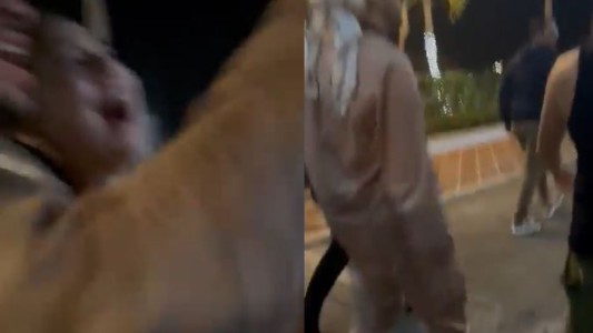 Bad Bunny le tiró el celular a una fan: el descargo del artista tras el episodio