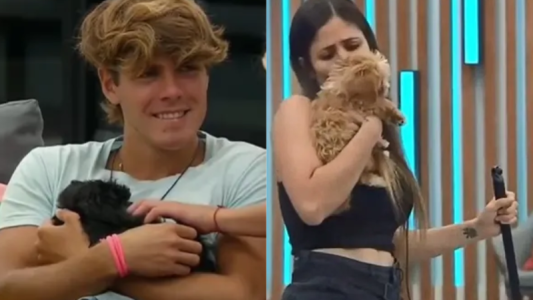 Entrevista al veterinario de Caramelo y Mora: ¿Está bien o mal que los cachorros se separen?