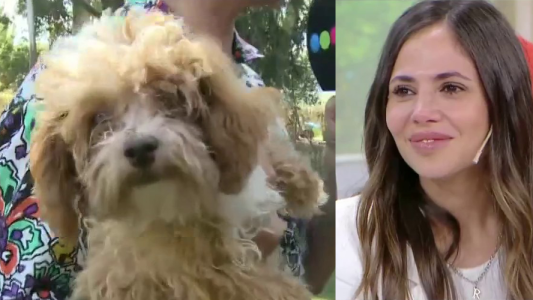 El formulario que tendrá que llenar Romina para adoptar a Caramelo