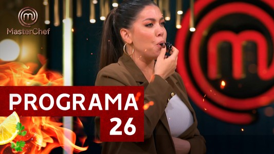 Programa 26