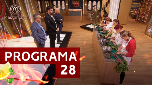Programa 28