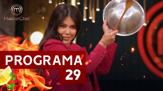 Programa 29