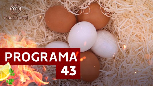 Programa 43