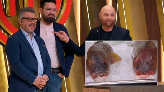 jurado mintió todos salmón blanco Gerdodam