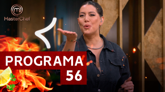 Programa 56