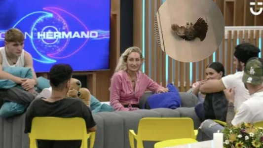 Furor por el búho resucitado en Gran Hermano Chile: "Nos sigue visitando"