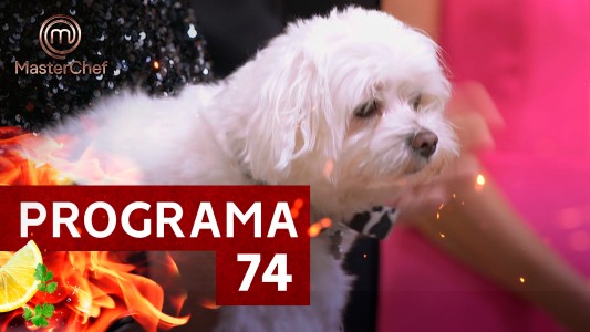 Programa 74
