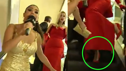 La Tora Lucila se atoró en las escaleras mecánicas del hotel Hilton