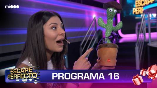 Programa 16