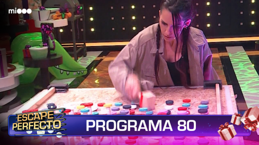 Programa 80