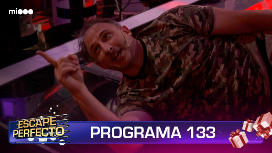Programa 133