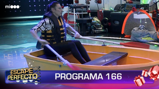 Programa 166