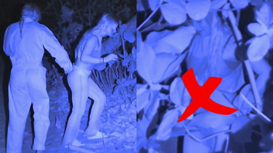 El lado B de la isla: baño entre los arbustos y arañas gigantes