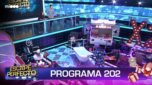 Programa 202