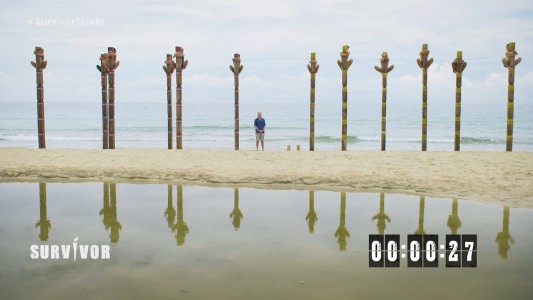 Koalas: ¿quién ganará el último juego de inmunidad grupal?