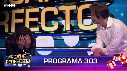 Programa 303