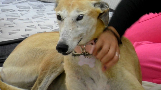 Paris encontró mucho amor en sus primeros días en la casa de GH