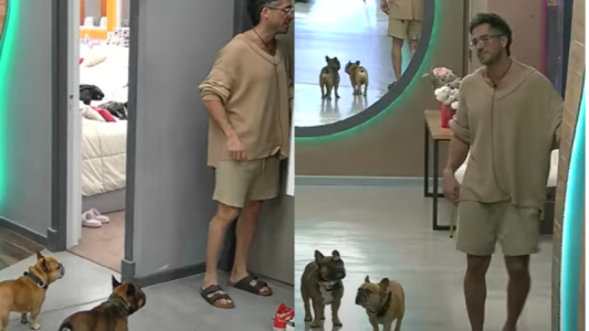 Custodia perruna: Devi dejó de estar solo gracias a sus bebés de cuatro patas