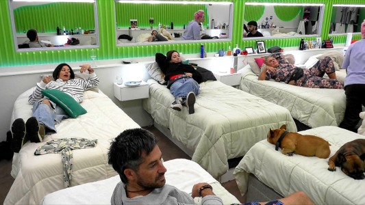 "Se me acalambra": en la casa se discutió cuál es el mejor desempeño sexual