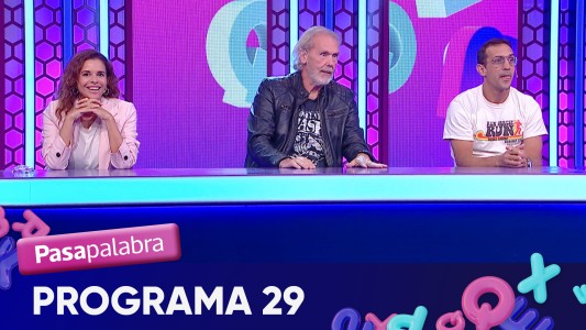 Programa 29