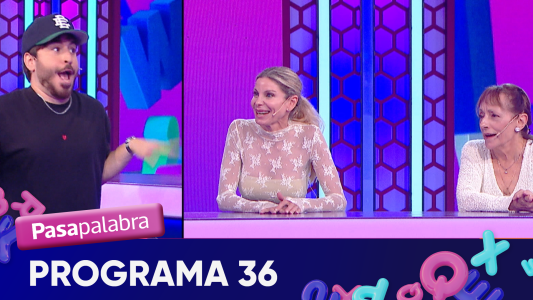 Programa 36