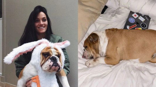 Oriana Sabatini despidió a Chopper, el perro que acompañó a la familia durante una década