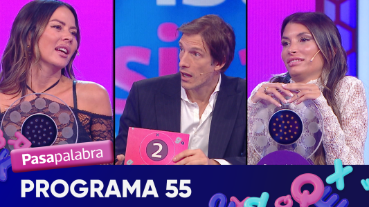 Programa 55