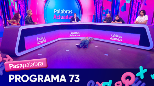 Programa 73